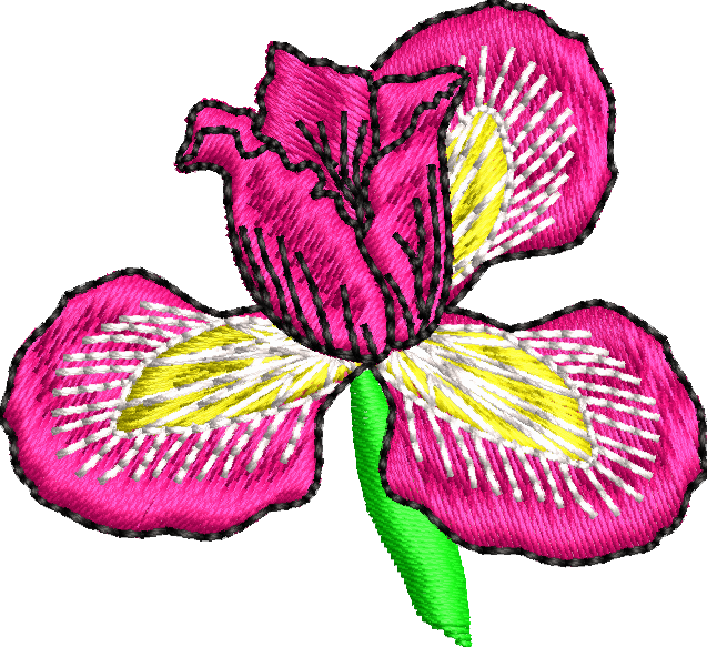 BRODERIE - FLOARE DE IRIS ( ROZ ) pentru aplicat pe sticla evenimente